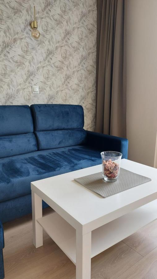 Apartament Skamander Torun Luaran gambar
